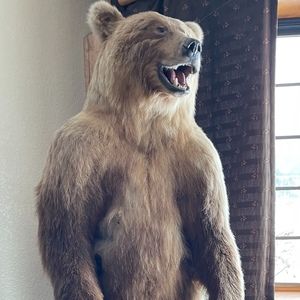 Meet your Posher, Trenton